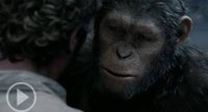 ТВ-ролик №3 (украинский дублированный)