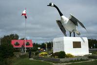 Кадр Одна неделя