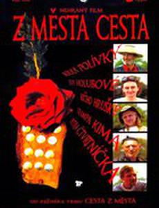 Z mesta cesta