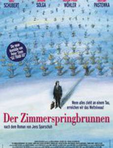 Der Zimmerspringbrunnen