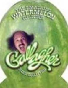 Gallagher: Overboard