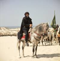 Кадр Ветер и лев