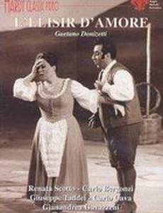 Il cavaliere del sogno