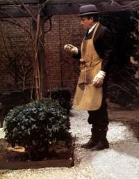 Кадр Будучи там