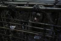 Кадр Однажды в сказке