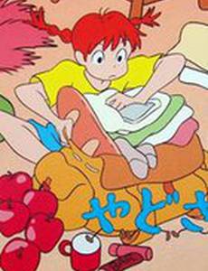 В поисках дома