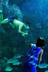 Кадр Рай океана