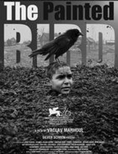 Раскрашенная птица