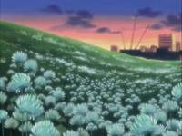 Кадр Сказочный мушкетер Красная Шапочка (видео)