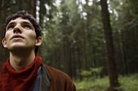 Кадр Мерлин