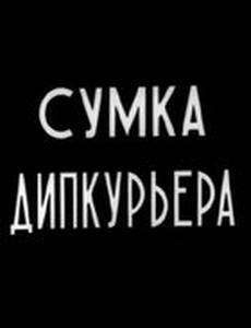 Сумка дипкурьера