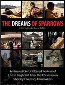 The Dreams of Sparrows