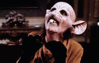 Кадр Ведьмы