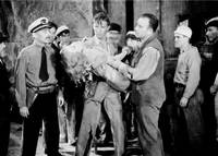 Кадр Кинг Конг