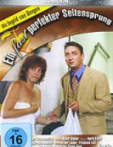 Ein fast perfekter Seitensprung