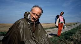 Кадр из фильма "Остров мастодонтов" - 2