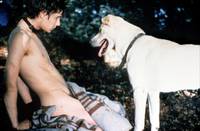 Кадр Фоги – настоящий ублюдок