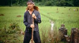 Кадр из фильма "Небо и земля" - 2