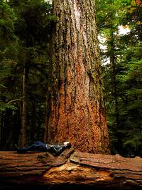 Кадр Одна неделя