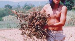 Кадр из фильма "Правосудие" - 2