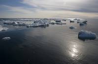 Кадр Мишка на севере