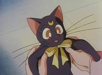 Кадр Красавица-воин Сейлор Мун Эс