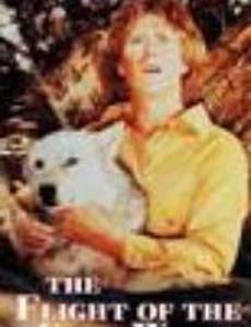 The Flight of the Grey Wolf