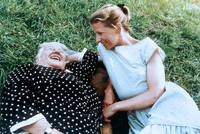 Кадр Яблони