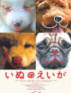 Все о моей собаке