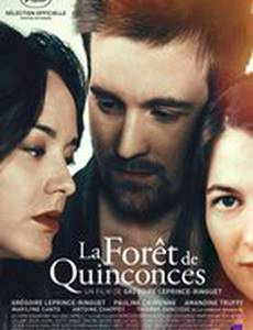 Полная луна