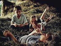 Кадр Не стреляйте в белых лебедей