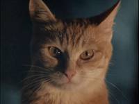 Кадр Безумная Лори