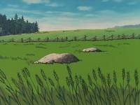 Кадр Катри, девочка с лугов