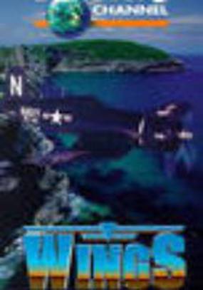 Wings Over the Pacific