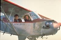 Кадр Птичка на проводе