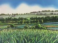 Кадр Пчелка Майя