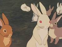 Кадр Катри, девочка с лугов