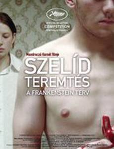 Любящий сын Франкенштейн