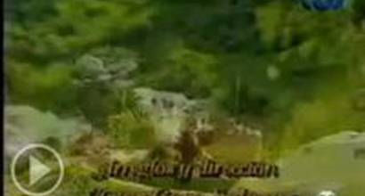 Вступительные титры