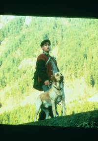 Кадр Далеко от дома: Приключения желтого пса