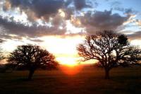 Кадр Безмолвный свет