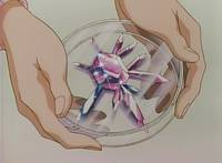 Кадр Красавица-воин Сейлор Мун Эс