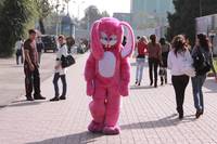 Кадр Сказ о розовом зайце