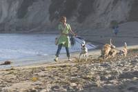 Кадр Если свекровь – монстр…