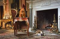 Кадр Гарфилд 2: История двух кошечек