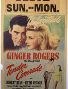 Нежный товарищ