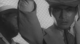 Кадр из фильма "Бездомный пес" - 2