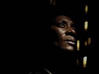 Кадр Лошадь Деньги