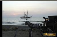 Кадр Любовь во время холеры