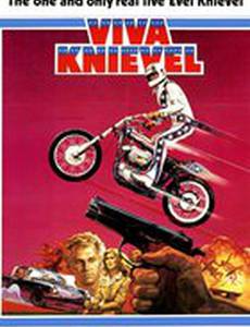 Viva Knievel!